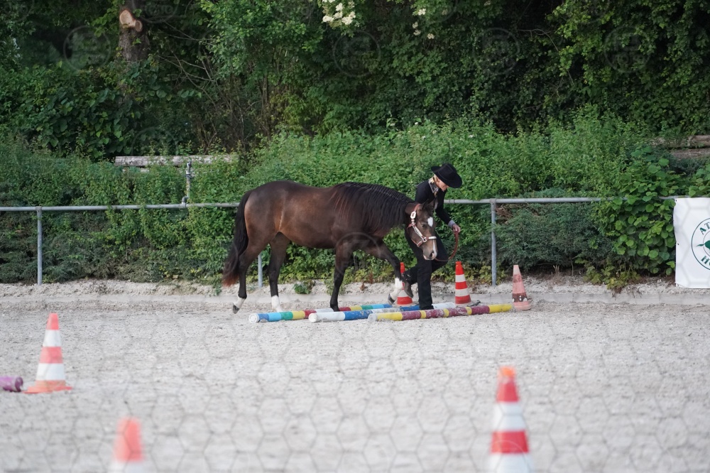 s_A9_05403.jpg